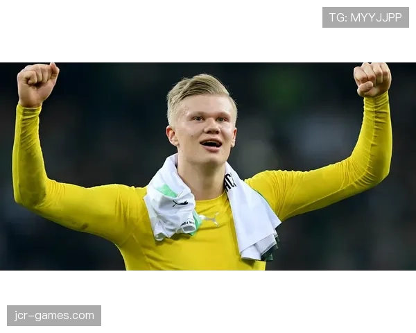 埃尔林·哈兰德